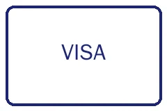 VISA支付